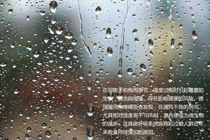 室内恒温游快猫记录生活记录你由于池水表面温度高于空气露点温度