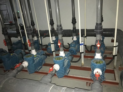 水泵快猫在线免费观看