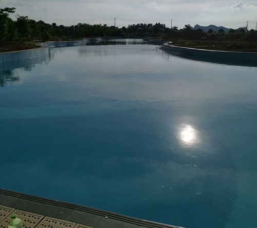 南宁市西乡塘金光农场快猫记录生活记录你