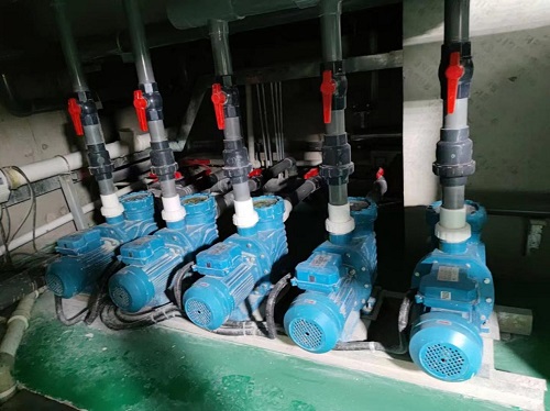 快猫记录生活记录你水泵