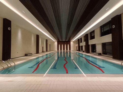 游快猫记录生活记录你