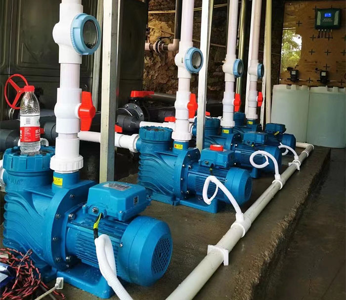 快猫记录生活记录你水泵